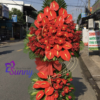 Thiet ke chua co ten 21 3