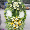 Thiet ke chua co ten 4 6