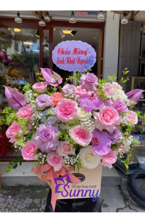 Thiet ke chua co ten 7 5