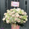 Lẵng Hoa Tươi Mơ Màng - M397 1 chuc-mung-267