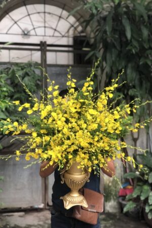 Bình Lan Vũ Nữ 1