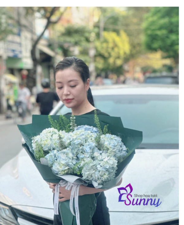 Bó Hoa Cẩm Tú Cầu - M405 6 Bó hoa cẩm tú cầu - M405