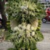 vong-hoa-kinh-vieng-598