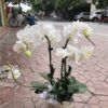 z2539370819521 959dbd100a3f39fab92278bfcfd88753