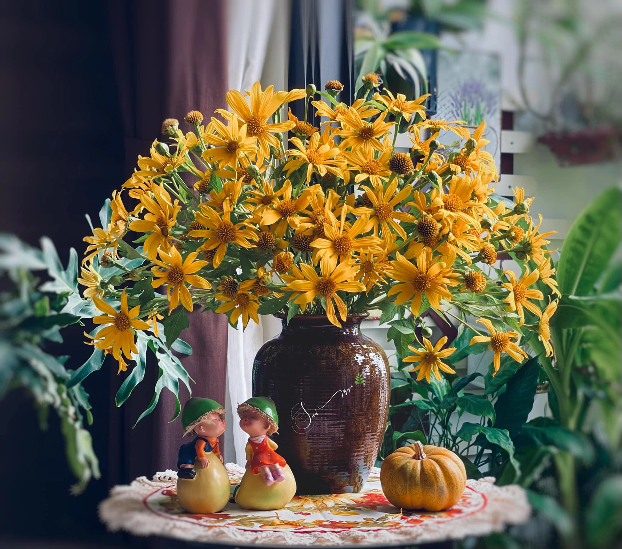 9 loại hoa có màu vàng ngày tết và ý nghĩa 23 Hoa Dã Quỳ