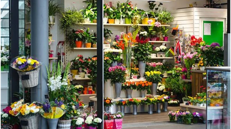 15 Shop hoa tươi ở Hải Phòng nổi tiếng hàng đầu 32 Nhật Quỳnh - Shop hoa tươi Hải Phòng được nhiều người yêu thích