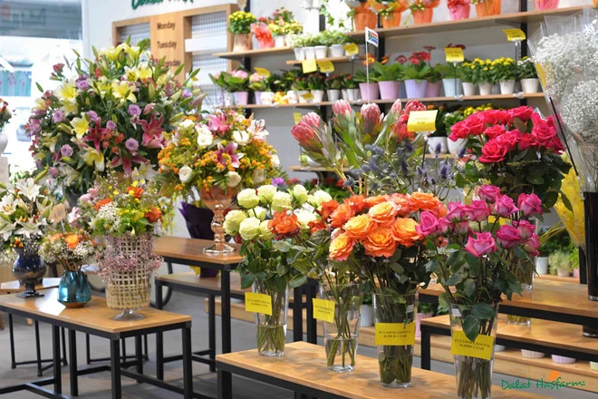Nắng Flower - Cửa hàng hoa tươi chuyên nghiệp tại Nghệ An 