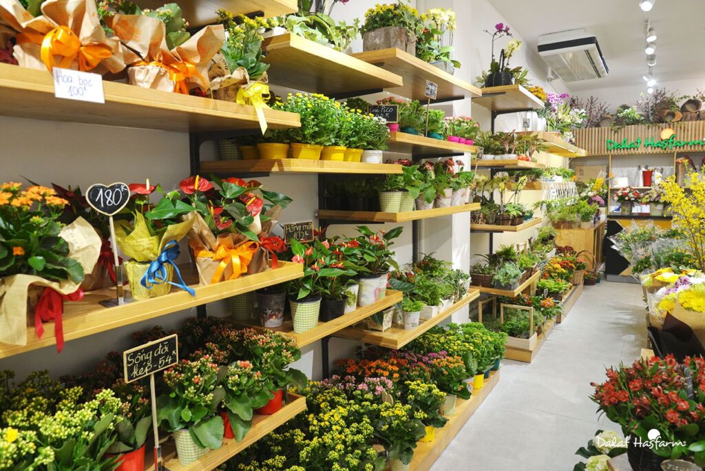 TOP 11 Shop hoa tươi Đà Nẵng uy tín 11 dia-chi-mua-hoa-tuoi-chat-luong-da-nang