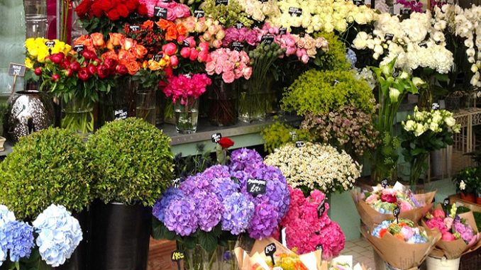 TOP 11 Shop hoa tươi Đà Nẵng uy tín 16 dia-chi-mua-hoa-tuoi-uy-tin-da-nang