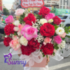 Thiet ke chua co ten 20