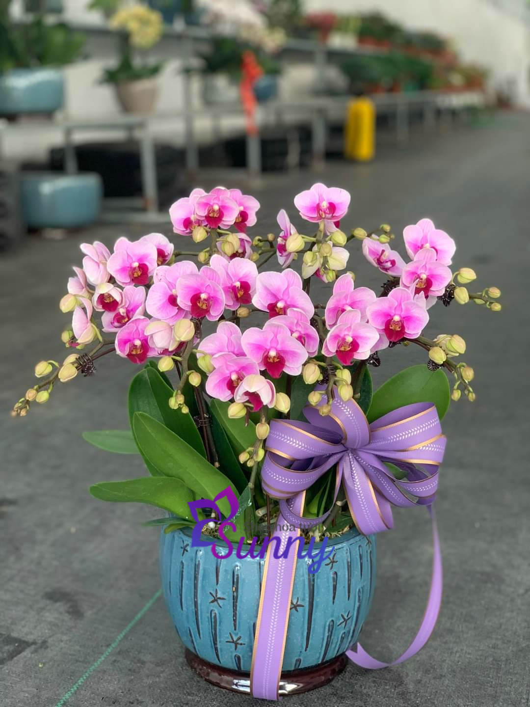 Mẫu 1