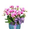 Chậu hoa lan hồ điệp hồng 7 cành để bàn - LHD10 1 hieuunganh.com 637c466dddeec 768x1024 preview rev 1