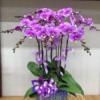 hieuunganh.com 637c79ee6d1f9