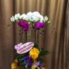 hieuunganh.com 637c7d29eeedf
