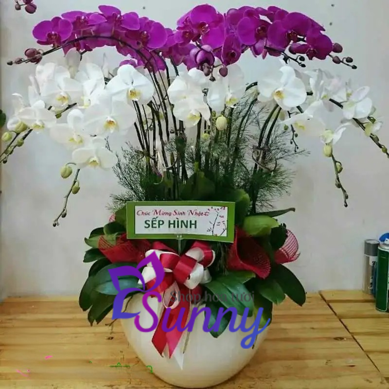 Mẫu 7