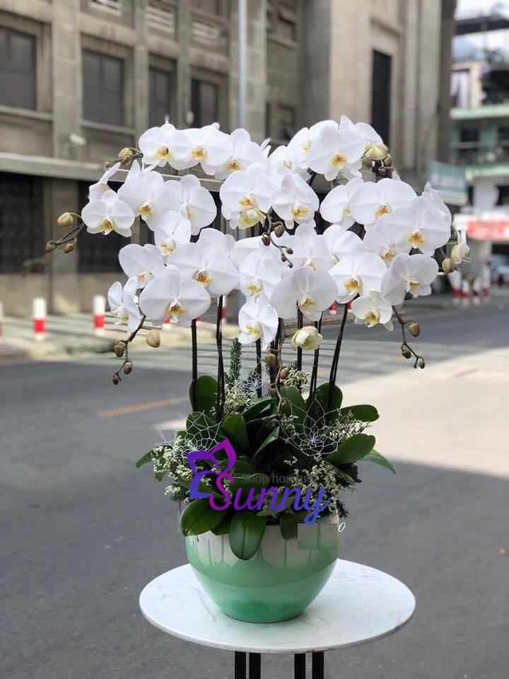 hieuunganh.com 637ed05080fdb
