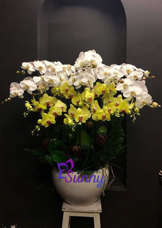 hieuunganh.com_637ed3ab607fa hieuunganh.com 637ed3ab607fa