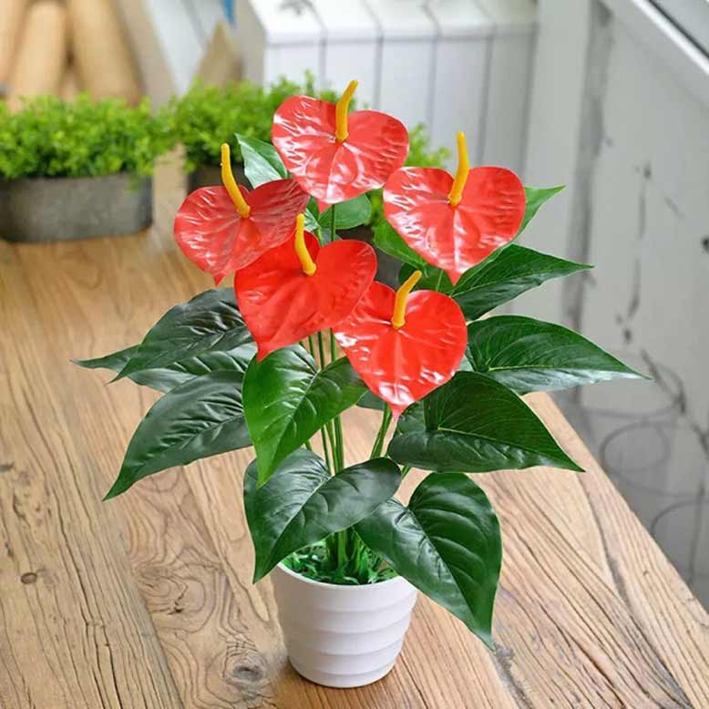 8+ Món quà tặng khai trương quán cafe hồng phát 32 Quà tặng khai trương quán cafe