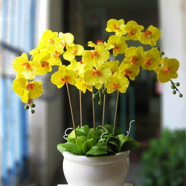 hoa sinh nhật tặng vợ