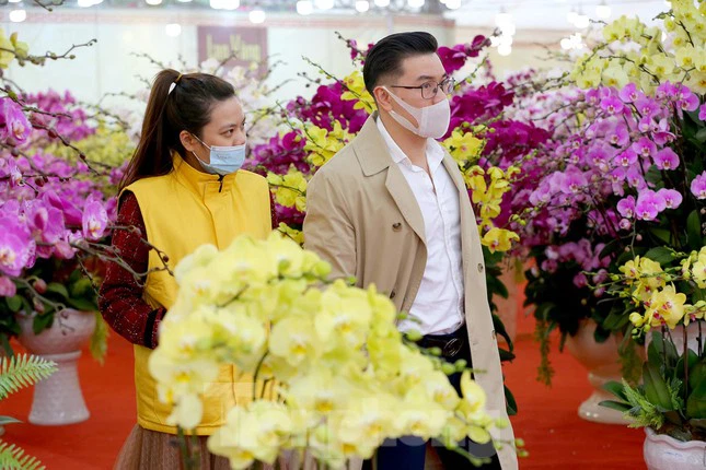 Shop hoa lan hồ điệp Sài Gòn giá rẻ đẹp nhất 77 Shop Hoa Tươi Sunny là địa chỉ uy tín được các khách hàng tin tưởng