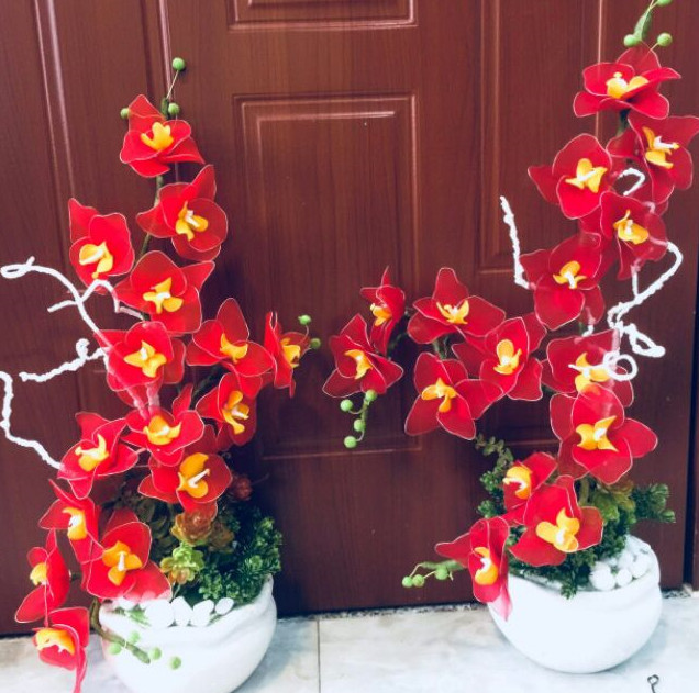 55+ Mẫu hoa lan hồ điệp tặng chúc mừng khai trương ấn tượng 48 Lan hồ điệp màu đỏ