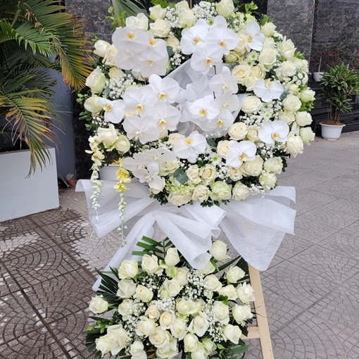 Hoa hồng trắng đám tang