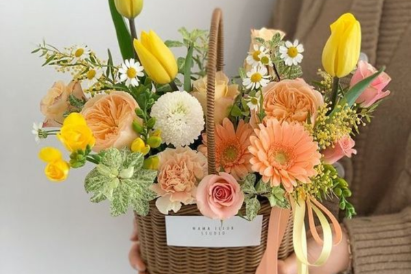 gio-hoa-tulip-qua-tang-thay-co