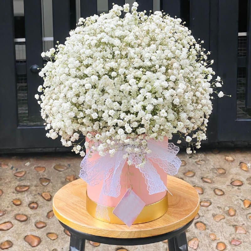 Bó hoa baby có giá bao nhiêu? Địa chỉ mua hoa baby giá tốt 18 Shop Hoa Tươi Sunny là địa chỉ mua các sản phẩm hoa tươi chất lượng cao, giá rẻ