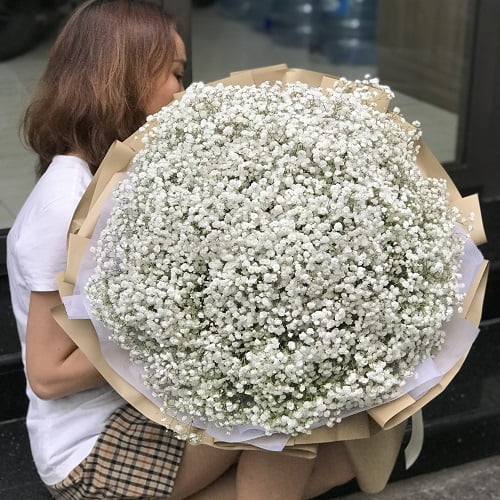 Bó hoa baby có giá bao nhiêu? Địa chỉ mua hoa baby giá tốt 14 Bó Hoa baby trắng