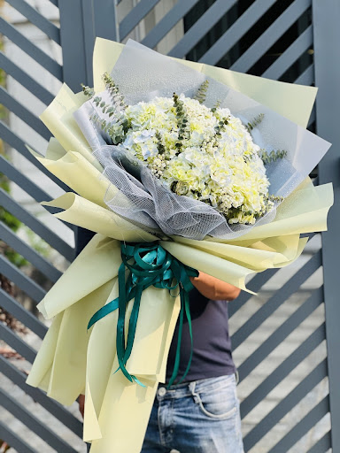 Bó Cẩm Tú Cầu Tặng Bạn Thân - B124