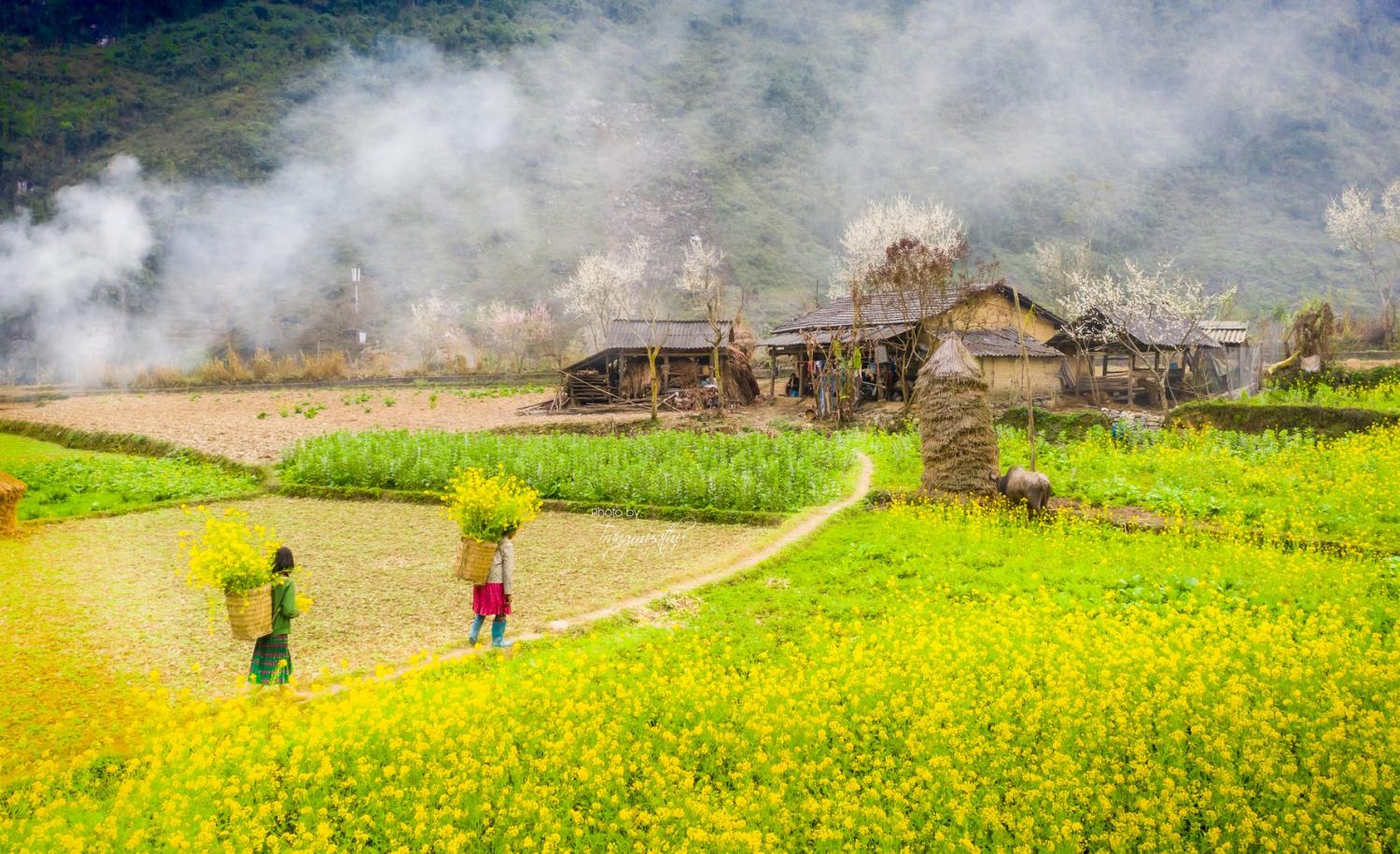 Khám phá vẻ đẹp 4 mùa hoa của Hà Giang 18 khung-canh-binh-yen-cua-ha-giang-khi-vao-dong