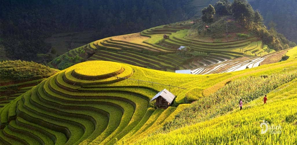 Khám phá vẻ đẹp 4 mùa hoa của Hà Giang 10 kham-pha-ve-dep-4-mua-ha-giang
