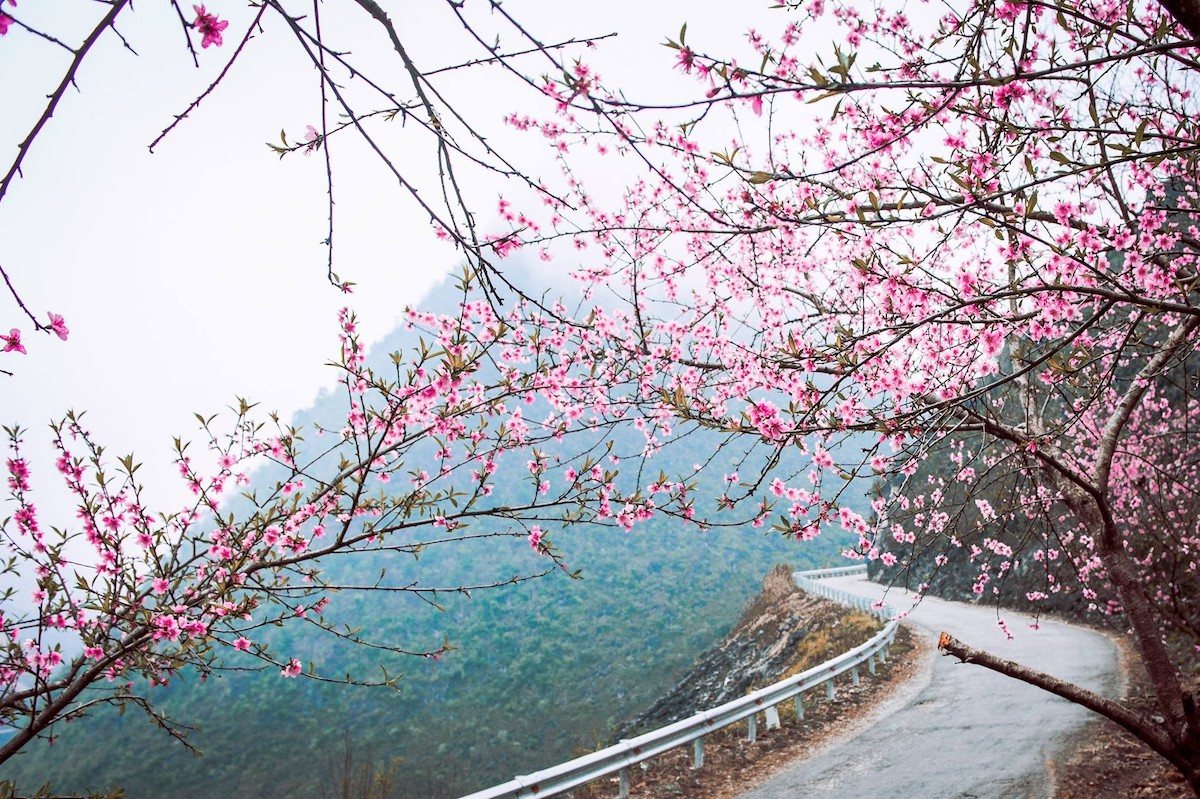 Khám phá vẻ đẹp 4 mùa hoa của Hà Giang 11 ha-giang-la-tinh-mien-nui-cao-nam-o-khu-vuc-phia-dong-bac
