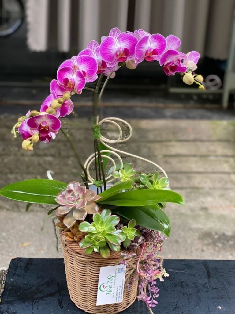 gio hoa khai truong