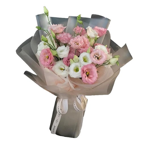 bó hoa cát tường đẹp