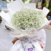 Thiet ke chua co ten 11