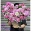 Ngày Hồng Tươi - G30 3 Thiet ke chua co ten 17