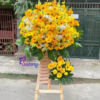 Thiet ke chua co ten 12