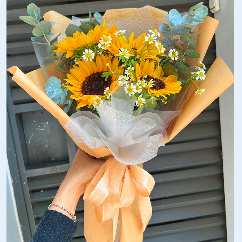 Bó hoa hướng dương Bó hoa hướng dương