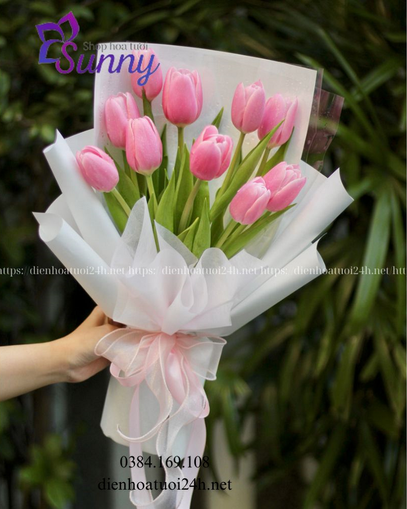 Bó hoa tulip Bó hoa tulip