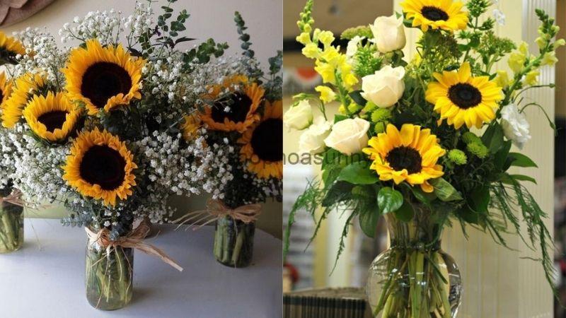 10 Cách Giữ Hoa Hướng Dương Tươi Lâu Và Đẹp Hơn 12 Shop Hoa Sunny - Địa chỉ mua hoa uy tín toàn quốc.
