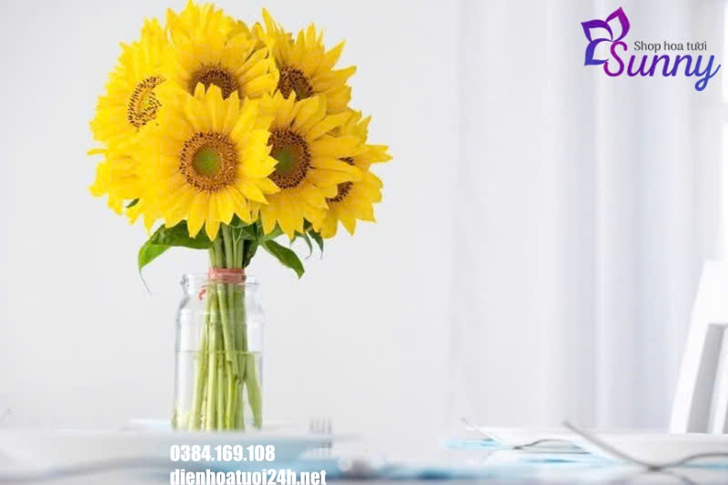 10 Cách Giữ Hoa Hướng Dương Tươi Lâu Và Đẹp Hơn 10 cách giữ hoa hướng dương tươi lâu