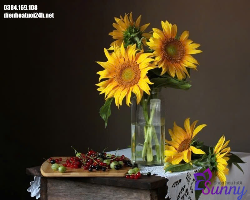 cách giữ hoa hướng dương tươi lâu cách giữ hoa hướng dương tươi lâu