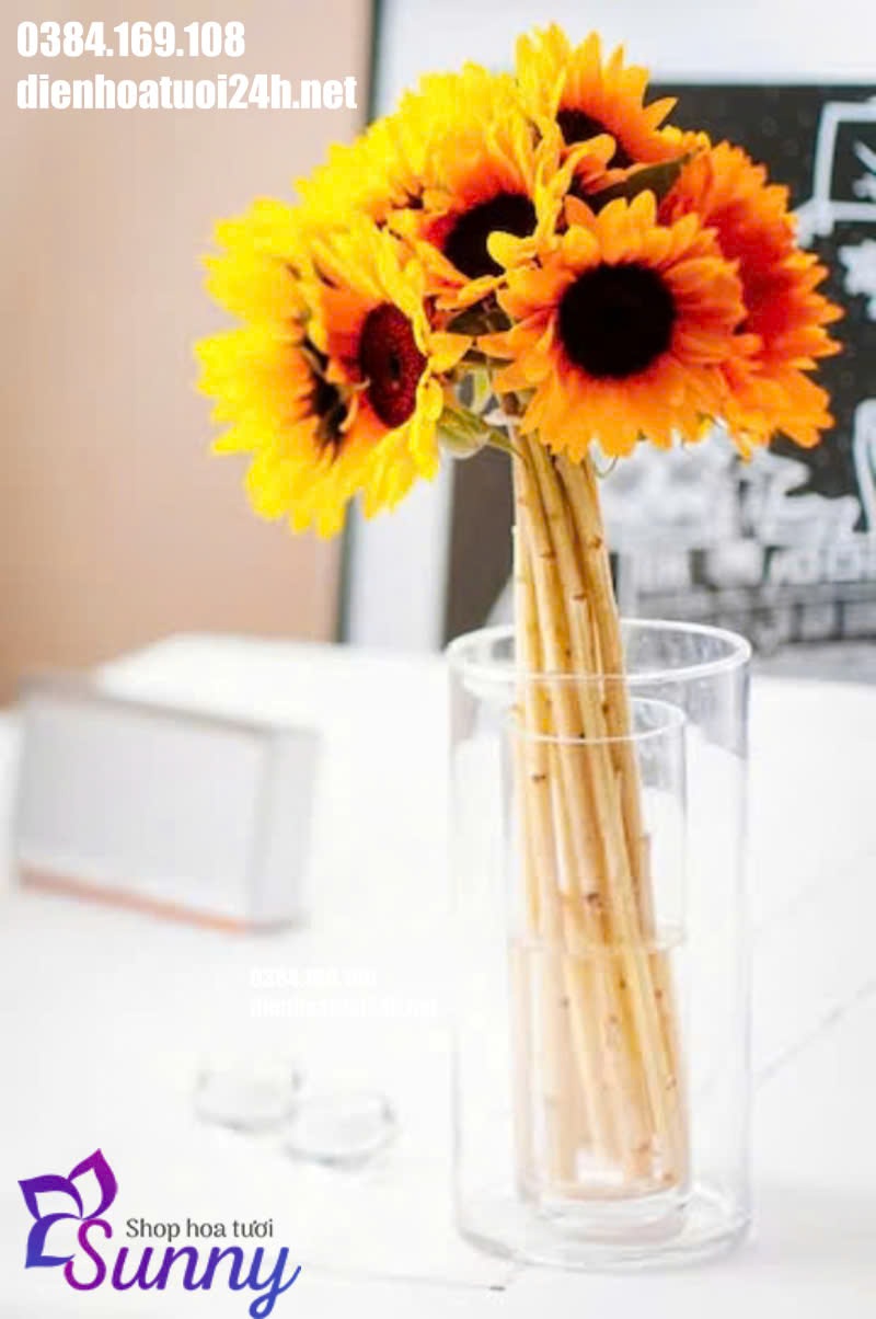 cách giữ hoa hướng dương tươi lâu cách giữ hoa hướng dương tươi lâu