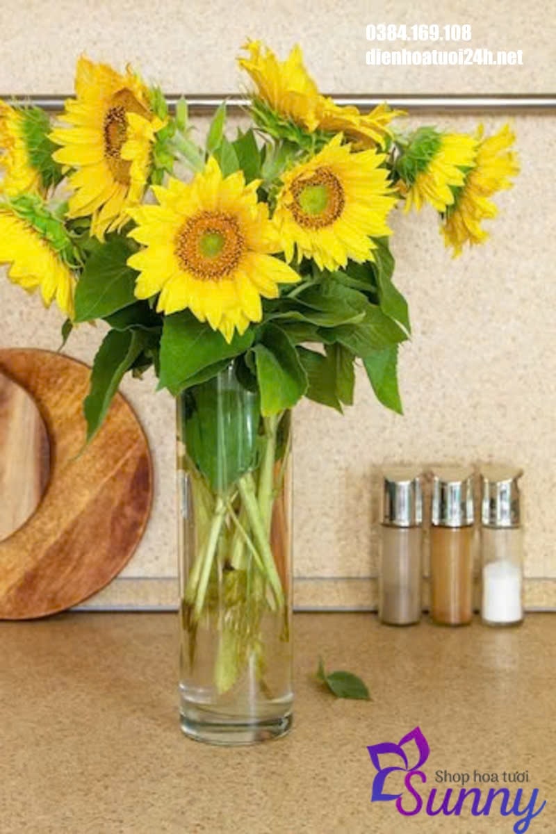 10 Cách Giữ Hoa Hướng Dương Tươi Lâu Và Đẹp Hơn 9 cách giữ hoa hướng dương tươi lâu