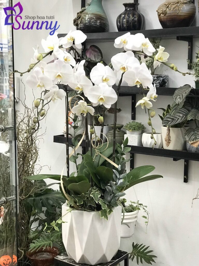Cửa Hàng Hoa Quận 4 Giao Hoa Giá Rẻ, Free Ship Nội Thành 24 cửa hàng hoa quận 4