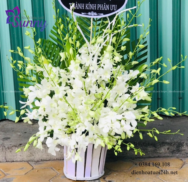 Giỏ hoa lan thể hiện sự kính trọng Giỏ hoa lan thể hiện sự kính trọng