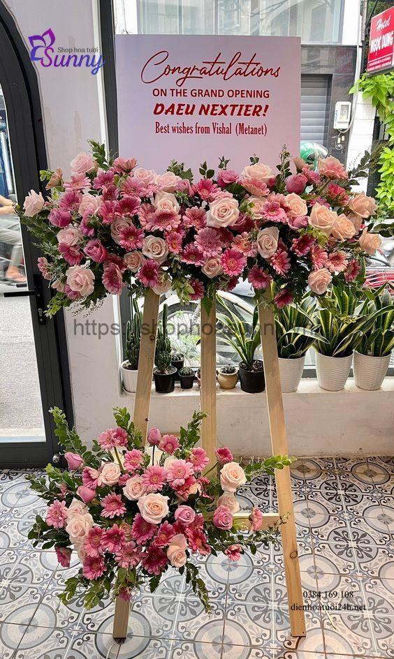Hoa đồng tiền có màu sắc đa dạng phù hợp với nhiều tông màu chủ đạo