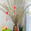 Hoa Đào Sakura Trang Trí Tết 3 Ý nghĩa hoa đào Sakura vào ngày Tết