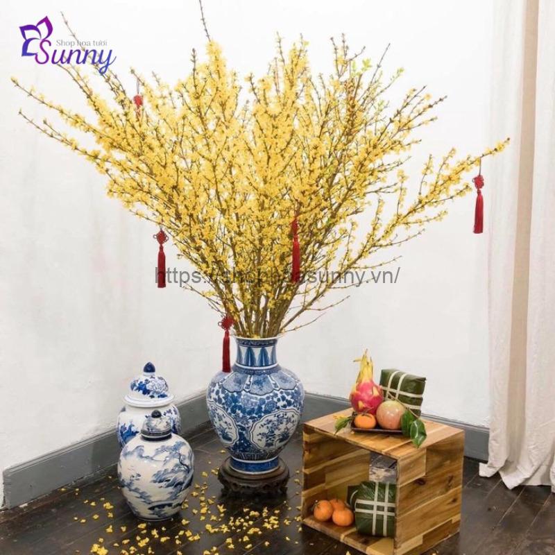 Hoa Mai Mỹ Top Đầu Trong Xu Hướng Chơi Hoa Tết Mới 10 Ý nghĩa của hoa mai mỹ